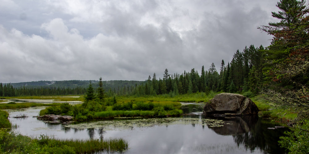 Turtle Rock 20X40 Canvas